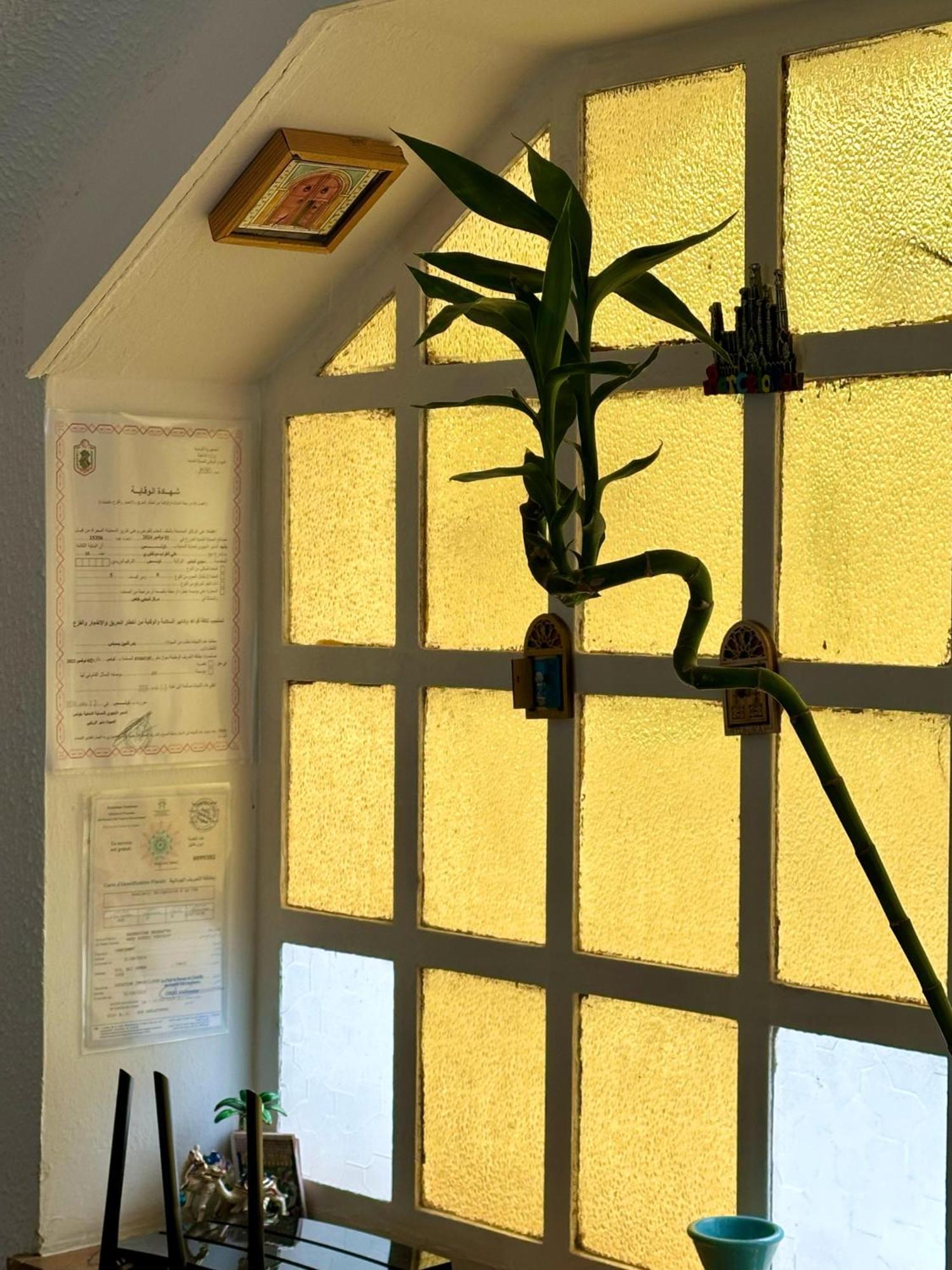 Nomads Hostel Tunisia Zewnętrze zdjęcie