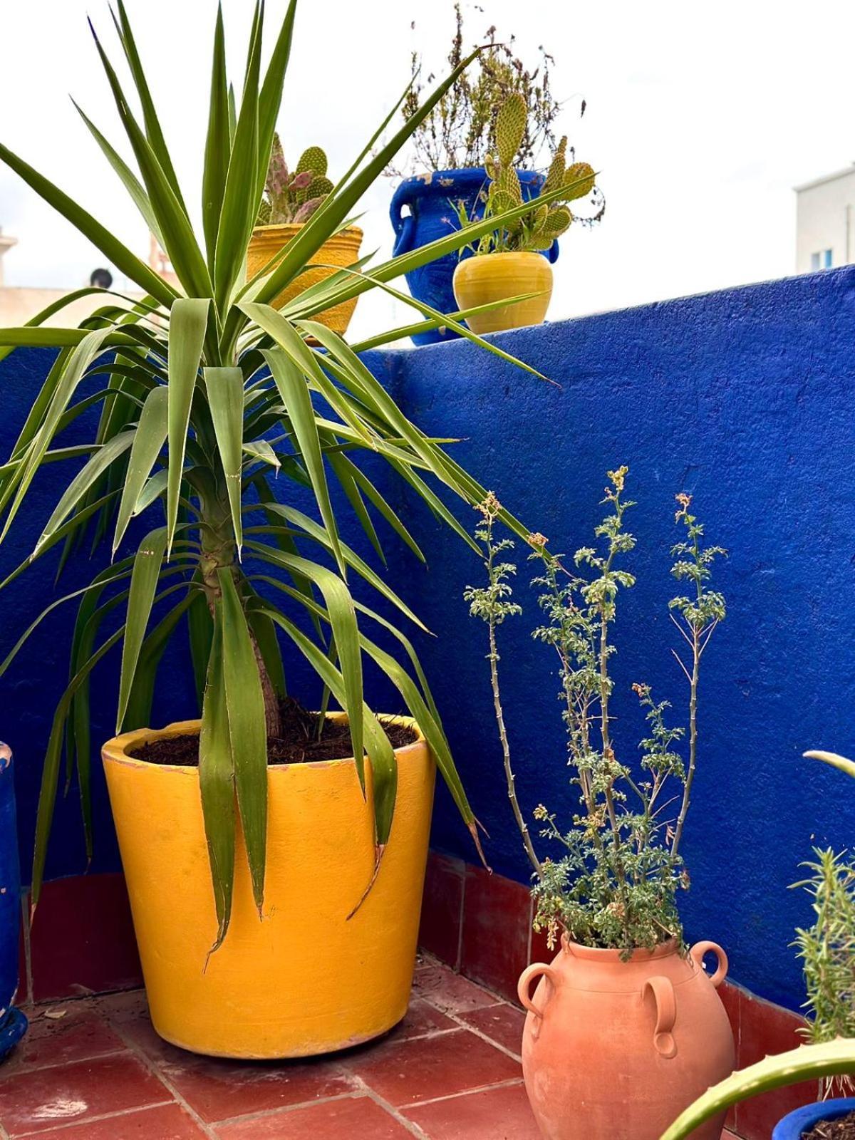 Nomads Hostel Tunisia Zewnętrze zdjęcie
