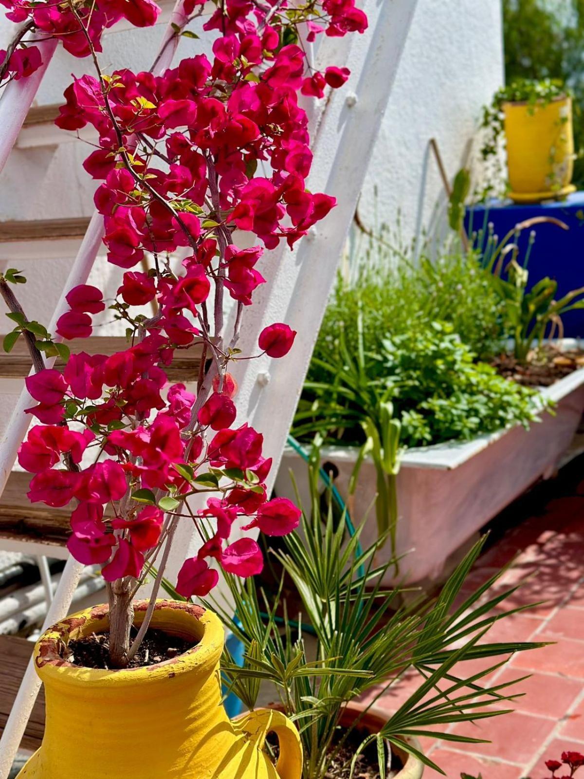 Nomads Hostel Tunisia Zewnętrze zdjęcie